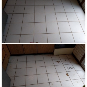 Photo of Mesmer Cleaning Solutions