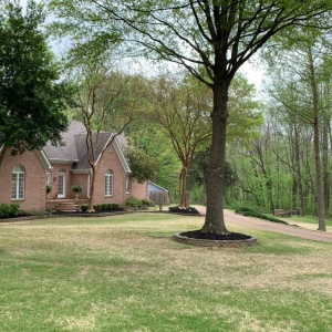 Photo of Midsouth Lawnscapes