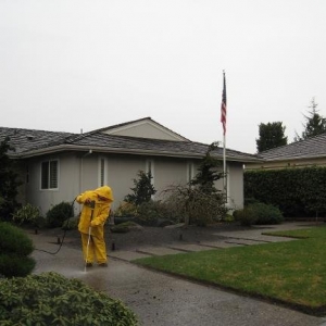 Photo of JP's Painting Home Maintenance & Repair