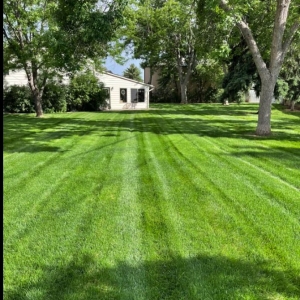 Fort Collins Los Rangel's Landscaping