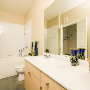 Photo of The Saulet Apartments