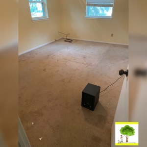 Photo of The Root Cleaning Service