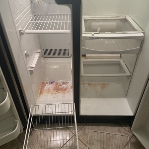 Photo of The Root Cleaning Service