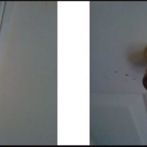 Photo of JF's Cleaning