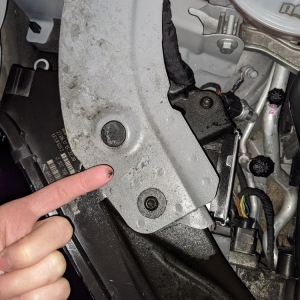 Photo of Motor City Auto Spa