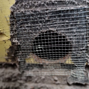 Photo of Brick & Hammer