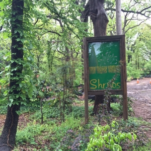 Photo of Cottage Supply & Plants