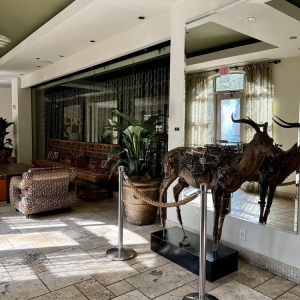 Photo of Hotel ZaZa Dallas