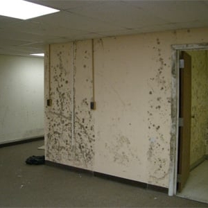 Photo of TCWRC Water Damage Elizabeth