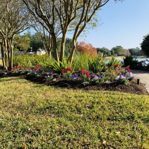 Photo of Urban Oasis Landscape