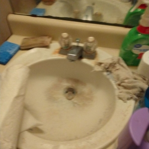 Photo of Bobbie/Brooke Mini Maid Service
