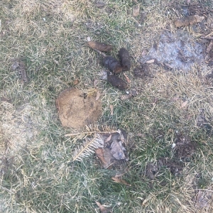 Photo of Woodridge Apartments