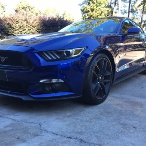 Photo of Optimum Care Detailing