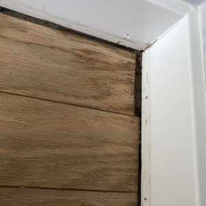 Photo of Bay Area Floors