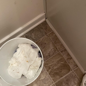 Virginia Beach Taylor Maid