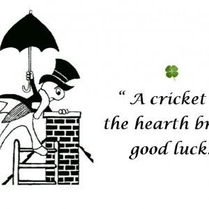 Olney Chimney Cricket Sweeps