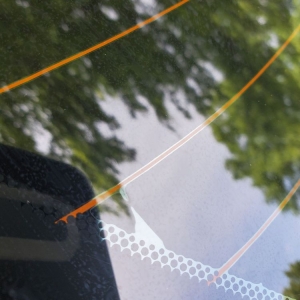 Waldorf Blakout Window Tint