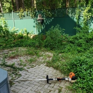 Photo of Bluegrass Lawn Care