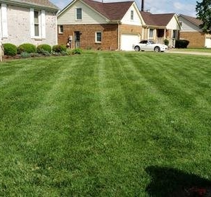 Photo of Bluegrass Lawn Care