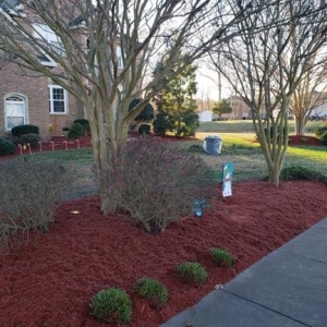 Photo of Bluegrass Lawn Care