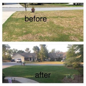 Photo of W9Y Cleaning Solutions