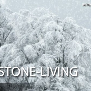 Photo of Cornerstone Residential