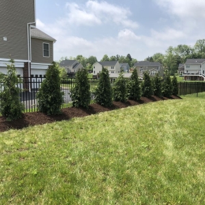 Photo of Lawn Lords Lawn Care & Landscape Services