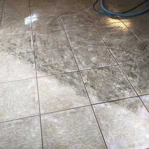 Photo of Scott's Carpet Care