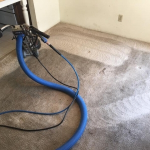 Photo of Scott's Carpet Care