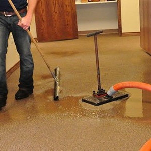 Photo of First Aid Carpet Care