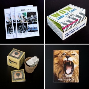 Photo of Conlin's Digital Print, Direct Mail, & Marketing Solutions