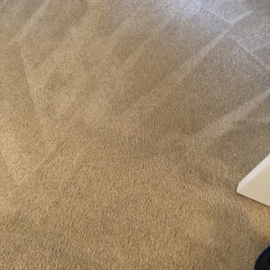 Photo of Coop's Carpet & Air Duct Cleaning