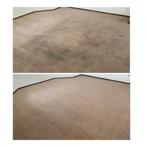 Photo of ASAP Carpet Cleaning