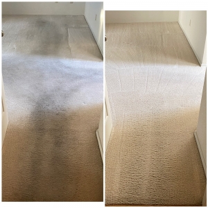 Photo of ASAP Carpet Cleaning