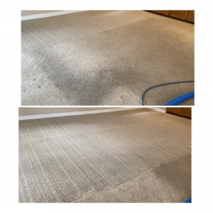 Photo of ASAP Carpet Cleaning