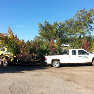 Photo of Jerry's Nursery & Landscaping