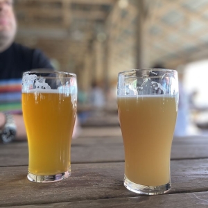 Photo of Jester King Brewery