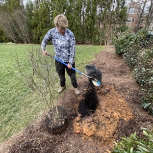 Waxhaw Carolina Terrain