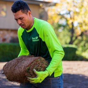 Photo of Plant Solutions Tree and Lawn Care Service