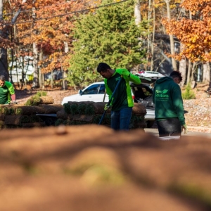 Photo of Plant Solutions Tree and Lawn Care Service