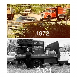 Photo of Plant Solutions Tree and Lawn Care Service