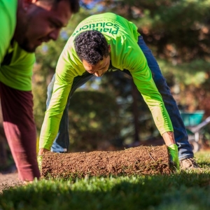 Photo of Plant Solutions Tree and Lawn Care Service