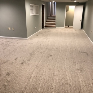 Franklin The Carpet Shoppe