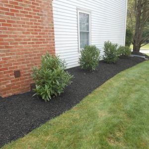 Photo of Royal Landscaping