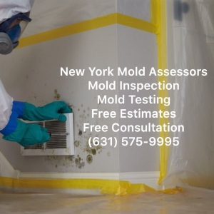 Photo of New York Mold Assessors
