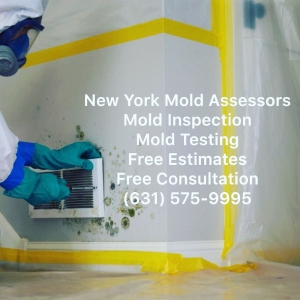 Photo of New York Mold Assessors