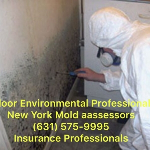Photo of New York Mold Assessors