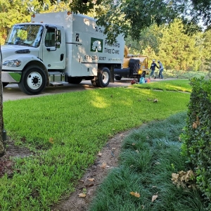 Photo of Prichard Tree Care