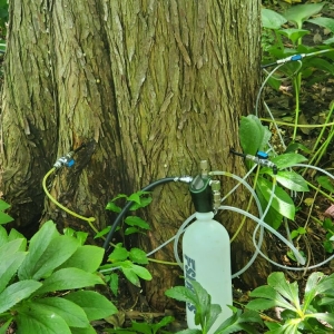 Photo of Prichard Tree Care