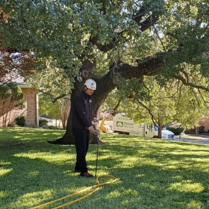 Photo of Prichard Tree Care